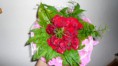 /album/fotogaleria-kytice-a-kyticky/kyticka4-jpg/