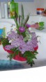 /album/fotogaleria-kytice-a-kyticky/kyticazozahrady-jpg/